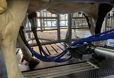 Gènes Diffusion visait une hausse de 250 kg de lait par vache grâce à la GHP. +385 kg sont finalement atteints, mais avec une baisse du TB. 