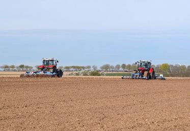 Les conditions doivent être réunies pour un départ vigoureux de la plante. 