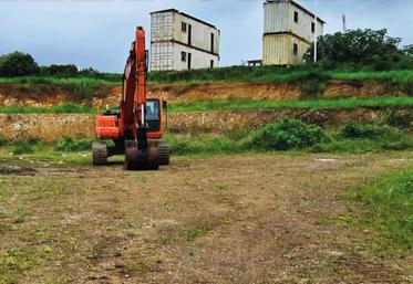 Terra Caledonia chips usine 