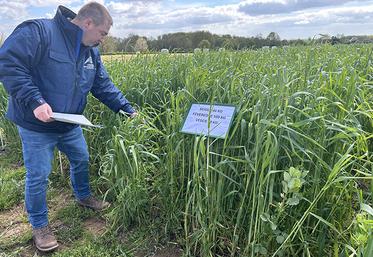 Le financement du dispositif a été pris en charge par le Symcéa, le Geda, la Chambre d’agriculture du Nord-Pas-de-Calais ainsi que la Draaf. 