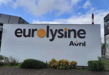 lysine Eurolysine dumping Chine Bruxelles