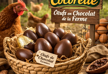 oeufs de poules en chocolat 1er avril Cocorette