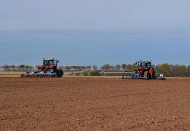 Le sol doit être ressuyé pour la préparation du lit de semences et suffisamment réchauffé pour optimiser la levée des plantes. 