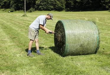 Il est recommandé de mesurer l'humidité des balles avant et après séchage.