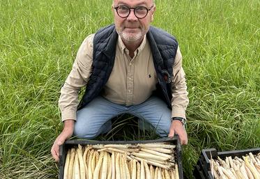 Aux Vergers du Santerre, Antoine et Maxime Vanoye, son fils, cultivent plusieurs variétés d’asperges blanches et vertes. 