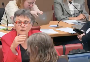 Dominique Voynet loi d'urgence agricole viande