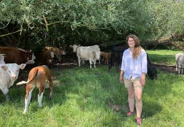 À Fontaine-sur-Somme, Maïté Sannier mise sur des prairies diversifiées pour bien nourrir ses vaches. 