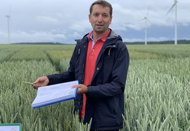 Grégoire Lesot, responsable technique chez Sana Terra, présente notamment quatre nouveautés pour les semis 2026. 