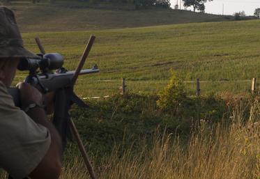 chasse d'été du grand gibier ouverture anticipée One Voice