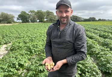 “Entre nous, il faut rester soudés” : pour Sébastien Fournier, la Fête de la pomme de terre est avant tout un moment de convivialité essentiel. 