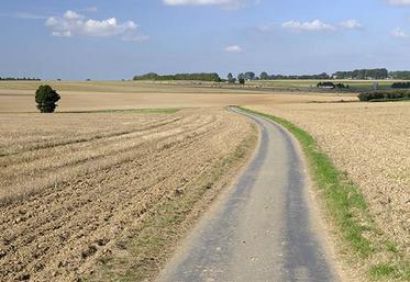 Ce 15 juillet, plus de 90 % des récoltes ont été levées dans l'Oise