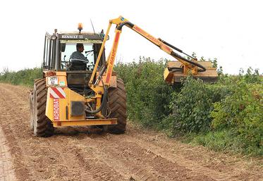 L'entretien des haies doit concilier obligations réglementaires,  protection de la biodiversité et bonnes pratiques agricoles.