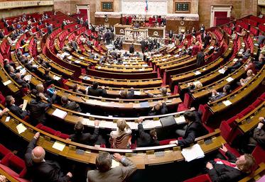 Le Parlement a adopté la loi d'urgence agricole le 22 juillet. Le texte, qui prévoit notamment des mesures sur les pesticides, la gestion de l'eau, les négociations commerciales et la prédation, attend désormais la décision du Conseil constitutionnel.
