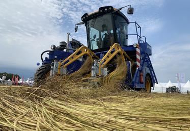 Le partage des risques est sur la table. Les agriculteurs ne peuvent pas les supporter à 100 %. 