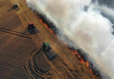 La mise à nu du sol, combinée à une perte de structure et à l’imperméabilisation expose la terre aux pluies souvent violentes de fin d’été ou d’automne. 