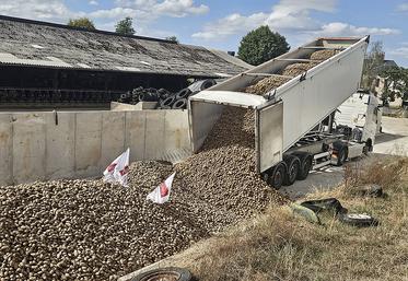 Vingt-trois camions ont livré des pommes de terre dans treize exploitations  différentes sur le département de la Mayenne.  