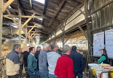 La matinée, animée par les conseillers bovins lait et viande de la Chambre d’agriculture, s’est poursuivie par l’intervention de M. Lefever, juriste à la FDSEA 80, consacrée à l’optimisation fiscale.  L’après-midi, les participants ont pu prolonger les échanges lors de visites d’exploitations.