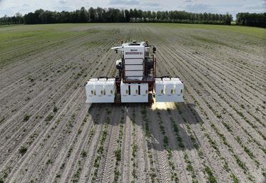 Le laser weeder lors des essais d’évaluation de performances par la Chambre d’agriculture de la Somme.