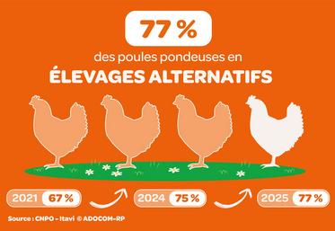 modes d'élevage des poules pondeuses moins de cages