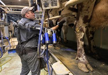 un éleveur trait ses vaches avec un exosquelette.