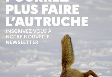 newsletter OFB Le fil du vivant