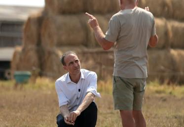 programme agricole de Glucksmann