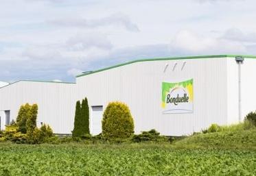 Bonduelle bénéfice agroalimentaire légumes d'industrie agroalimentaire