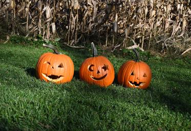 citrouille halloween