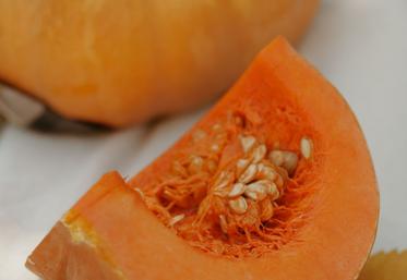 citrouille halloween cuisine