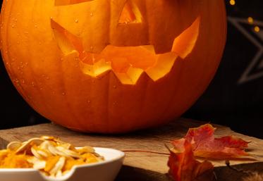citrouille Halloween