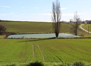 Retenue collinaire dans le Lot-et-Garonne
