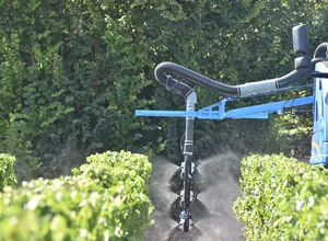 Pulvérisation de produits phytosanitaires dans des vignes