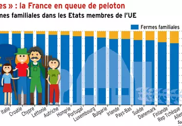 Fermes « familiales » : la France en queue de peloton