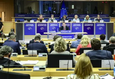 Audition au Parlement européen du commissaire désigné à la Santé, Oliver Varhelyi