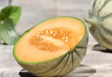 Melon de Cavaillon