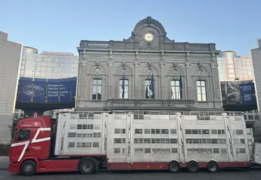 Un camion de transport de bétail devant le Parlement européen à Bruxelles