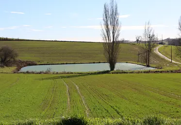 Retenue collinaire dans le Lot-et-Garonne