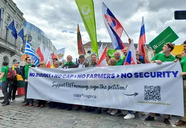 Manifestation d'agriculteurs à Bruxelles