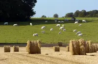 Paysage agricole diversifié