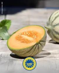 Melon de Cavaillon