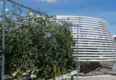 ferme urbaine