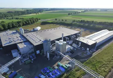 usine somme insectes