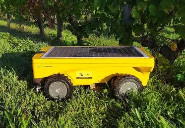 vitirobot robot autonome