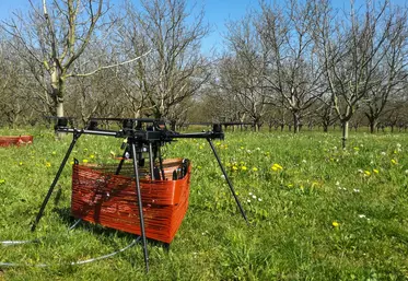 Le drone permet d'accéder à la cime des arbres.