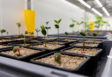Test dans le laboratoire de Toulouse de Micropep pour développer de nouvelles solutions à base de peptides.