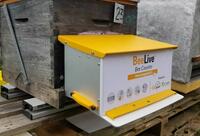 ruche avec kit de biosurveillance