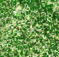 image satellite de champs cultivés