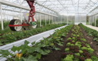 NeoFarm équipe les maraîchers en robots pour le travail du sol.