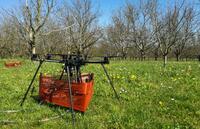 Le drone permet d'accéder à la cime des arbres.