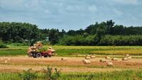  La foncière solidaire Feve veut poursuivre accélérer l'accompagnement des agriculteurs.